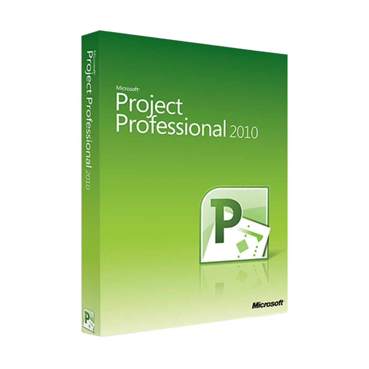 Microsoft Project Professional 2010