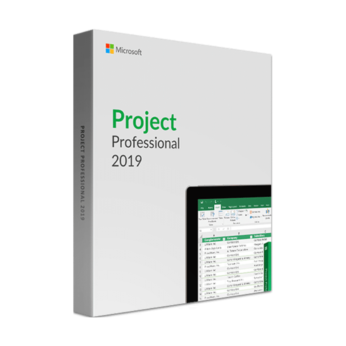 Microsoft Project Professional 2019